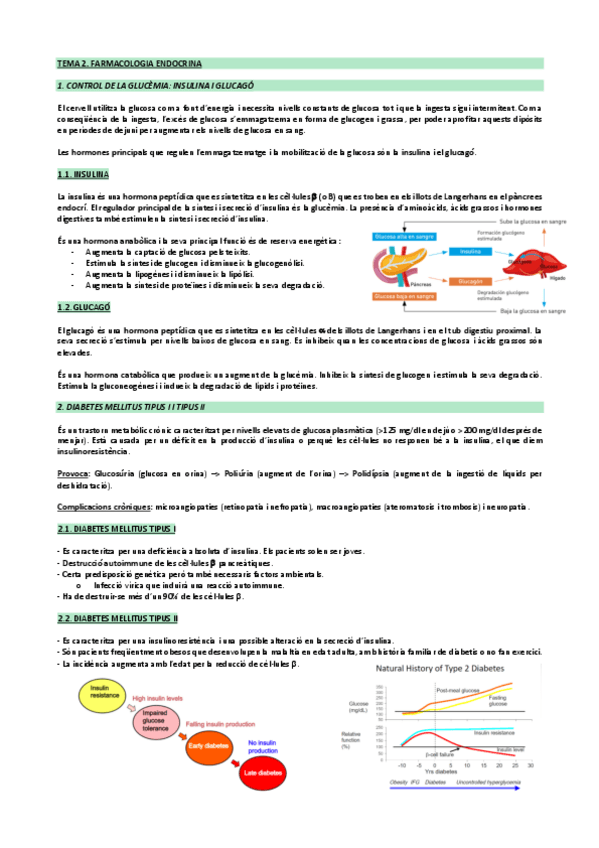 Miniatura del documento Tema-2.-Farmacologia-endocrina.pdf