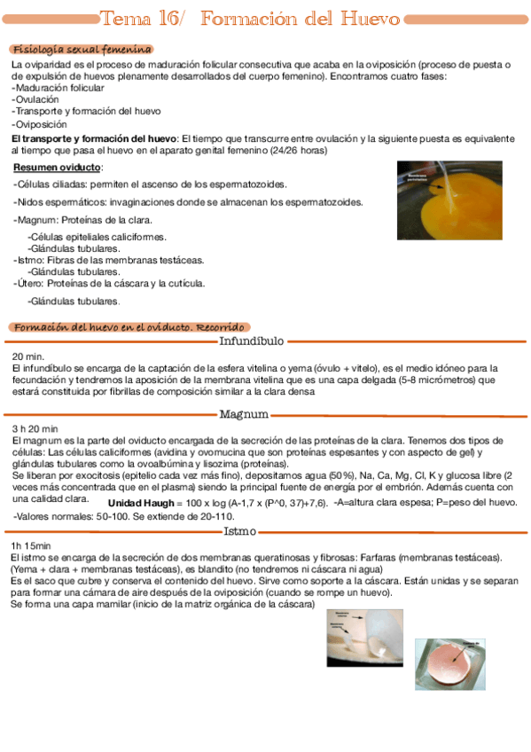 Miniatura del documento Tema-16.pdf