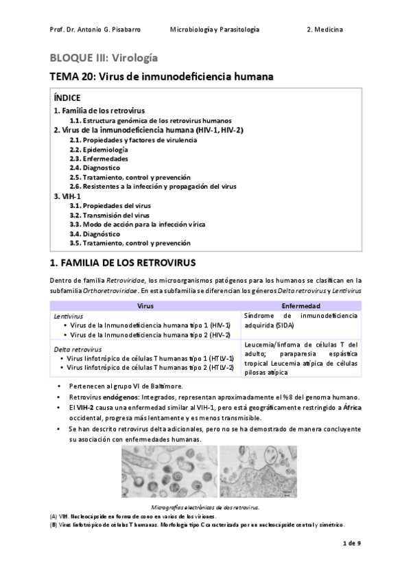 Miniatura del documento TEMA-20.-Virus-de-inmunodeficiencia-humana.pdf