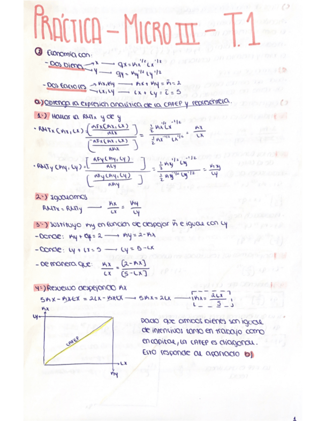 Miniatura del documento MICROECONOMIA-III.-TEMA-1.-PRACTICA-COMPLETA.pdf