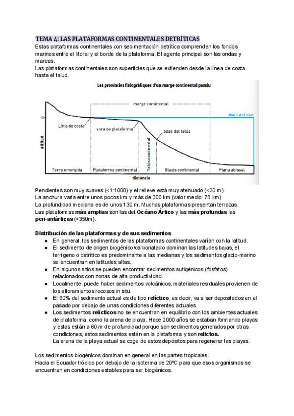 Miniatura del documento TEMA-4-LAS-PLATAFORMAS-CONTINENTALES-DETRITICAS.pdf