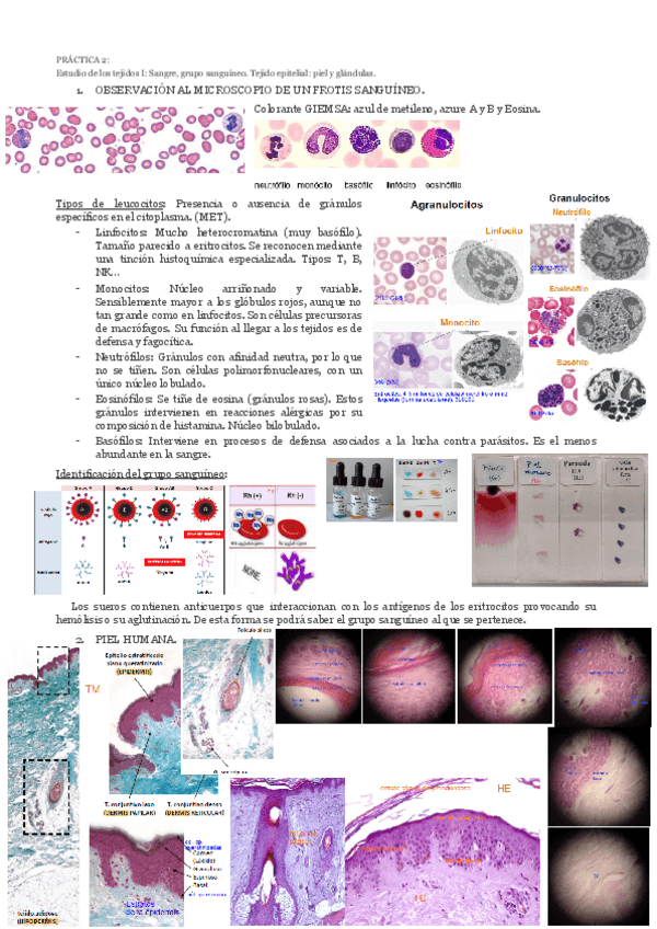 Miniatura del documento prac2.pdf
