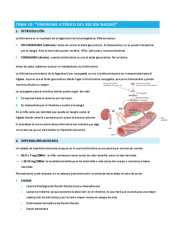 Miniatura del documento TEMA-10-INFANCIA.pdf