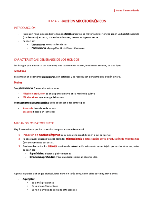 Miniatura del documento APUNTES Tema 25 Mohos micotoxigénicos.pdf