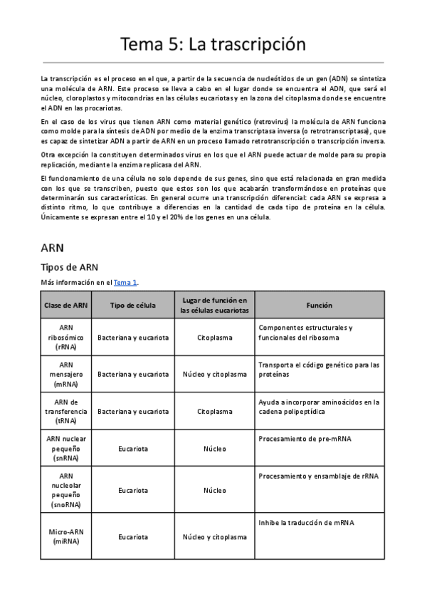Miniatura del documento Tema-5-La-transcripcion.pdf