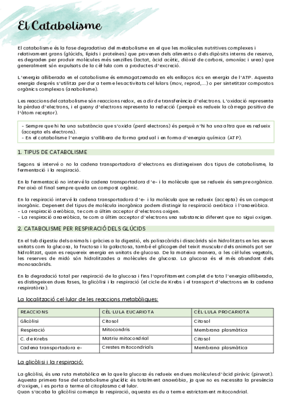 Miniatura del documento EL-CATABOLISME.pdf