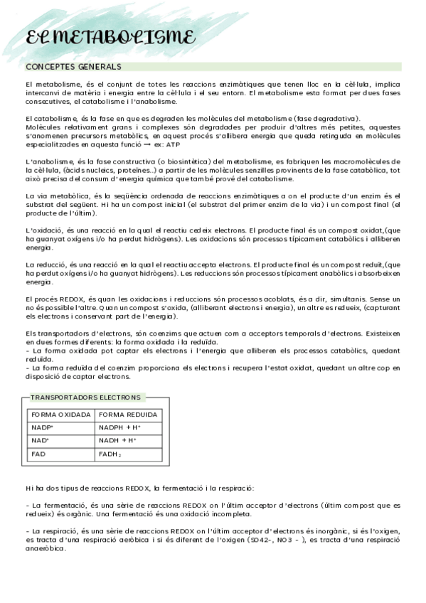 Miniatura del documento EL-METABOLISME.pdf