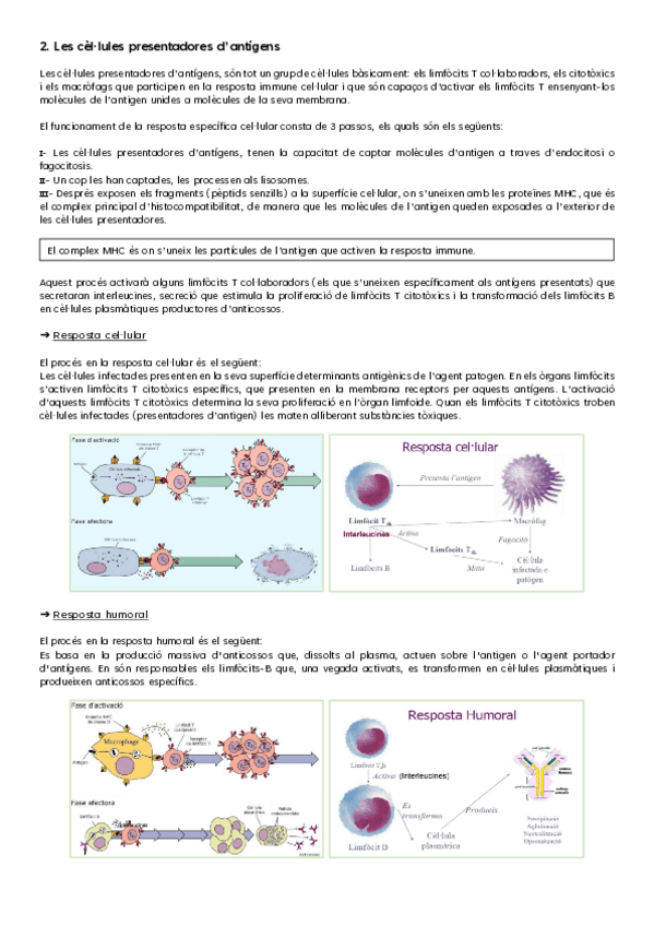 Miniatura del documento IMMUNO-2.pdf
