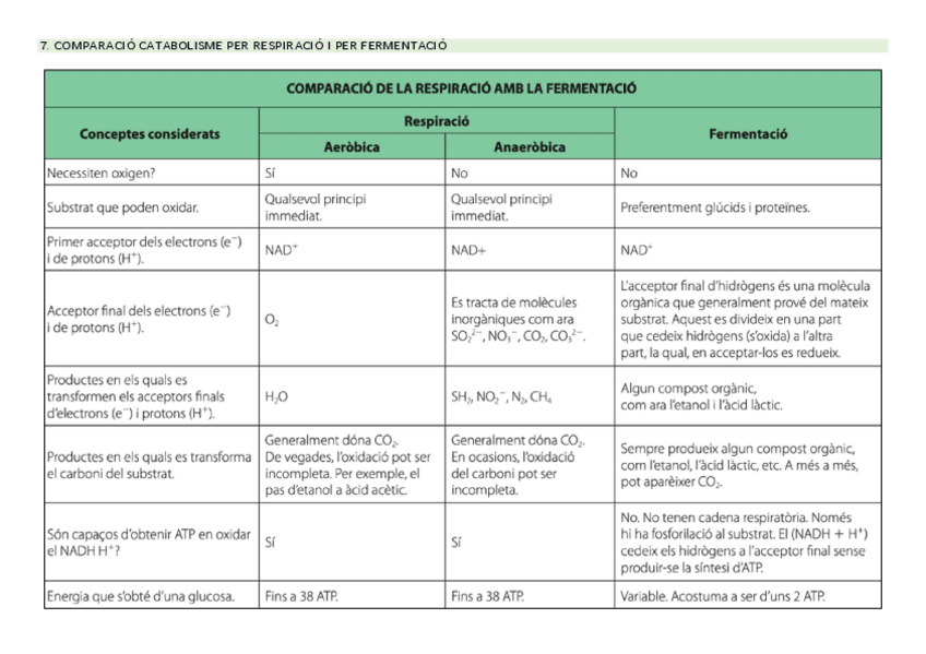 Miniatura del documento QUADRE-RESPIRACIO-I-FERMENTACIO.pdf