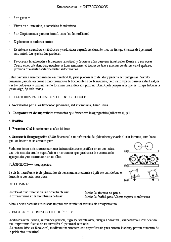 Miniatura del documento apuntes-tema-4.pdf