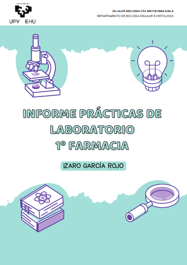 Miniatura del documento Informe-de-practicas.pdf