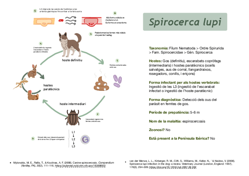 Miniatura del documento Spirocerca-lupi-.pdf