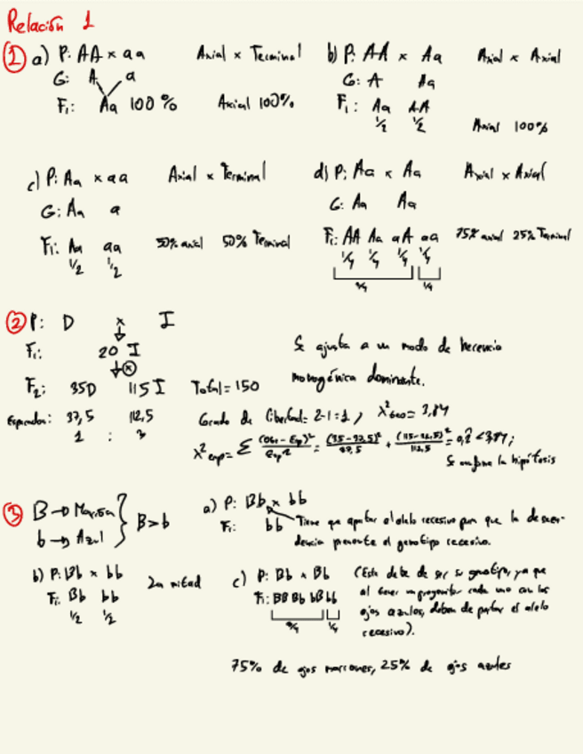 Miniatura del documento Relaciones-Genetica.pdf
