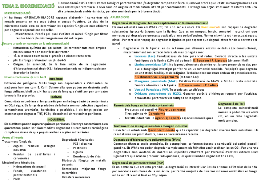 Miniatura del documento Resum-Tema-2-Micologia-aplicada.pdf