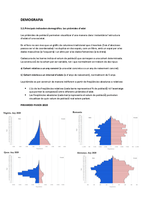 Miniatura del documento demografia-apuntes.pdf