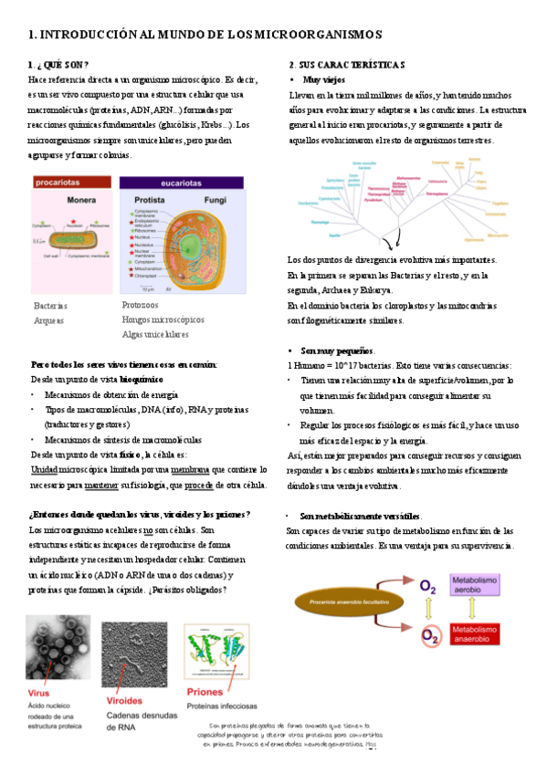 Miniatura del documento 1.-Introduccion.pdf