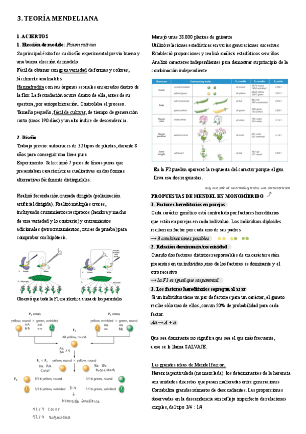 Miniatura del documento 3.-Mendel.pdf