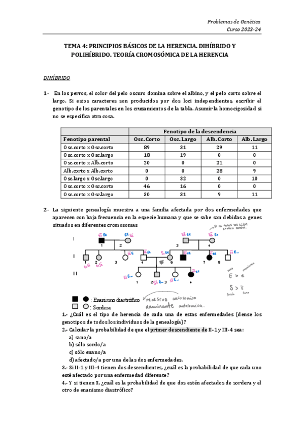 Miniatura del documento Problemas-y-soluciones.-Tema-4.pdf