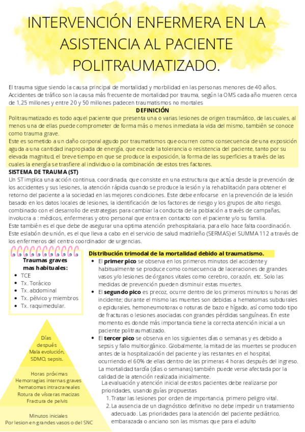 Miniatura del documento Paciente-politraumatizado.-Cuidados-de-enfermeria.-Intervencion-enfermera-en-la-Asistencia-al-paciente-politraumatizado..pdf