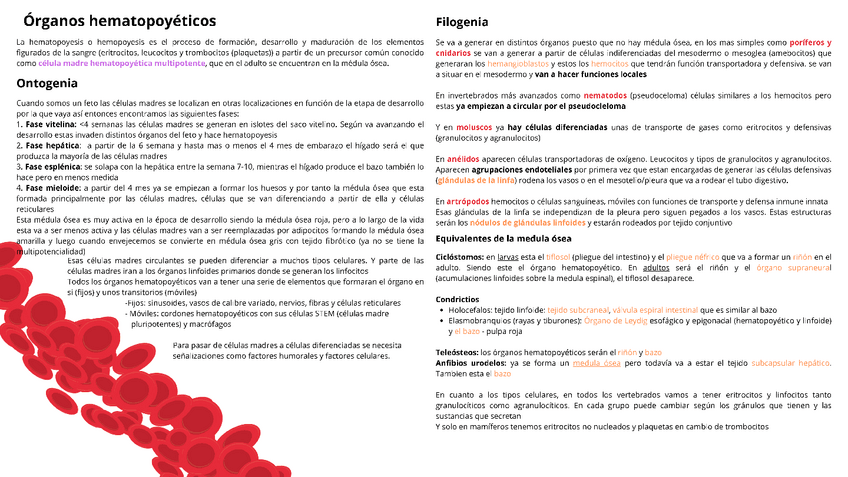 Miniatura del documento Tema-13-14-Hematopoyeticos-y-linfoides.pdf