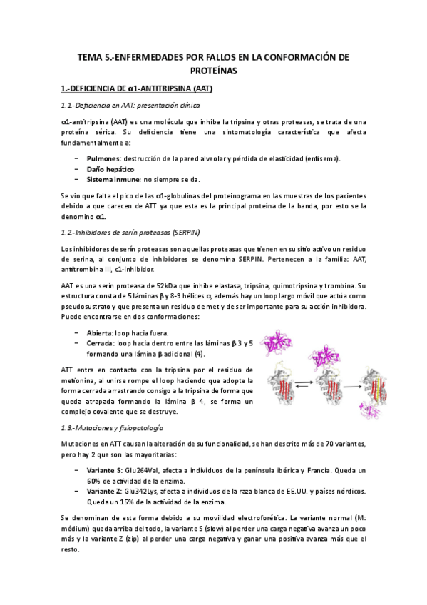 Miniatura del documento Tema 5.-Enfermedades-por-fallos-en-la-conformacion-de-proteinas.pdf