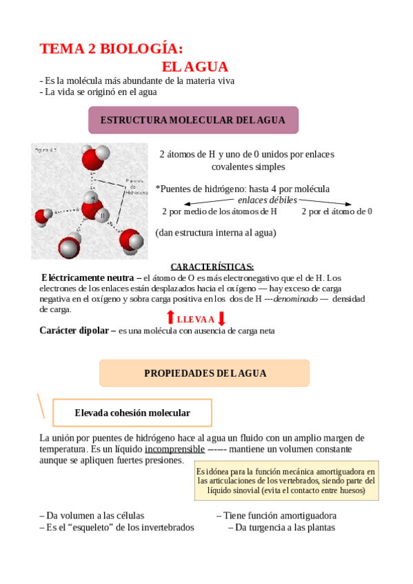 Miniatura del documento apuntes-biologia-tema-2-EL-AGUA.pdf