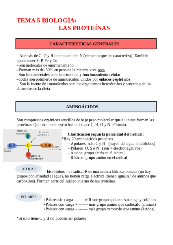 Miniatura del documento APUNTES-TEMA-5-PROTEINAS.pdf