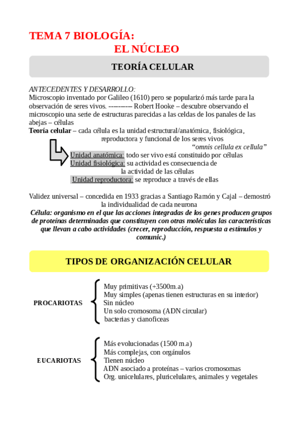 Miniatura del documento TEMA-7-EL-NUCLEO.pdf