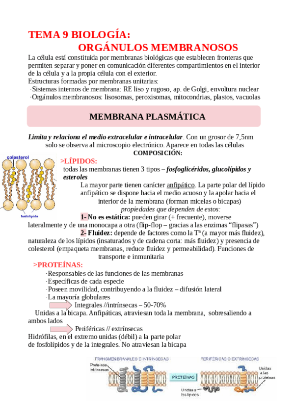 Miniatura del documento TEMA-9-BIOLOGIA-MEMBRANA-PLASMATICA.pdf