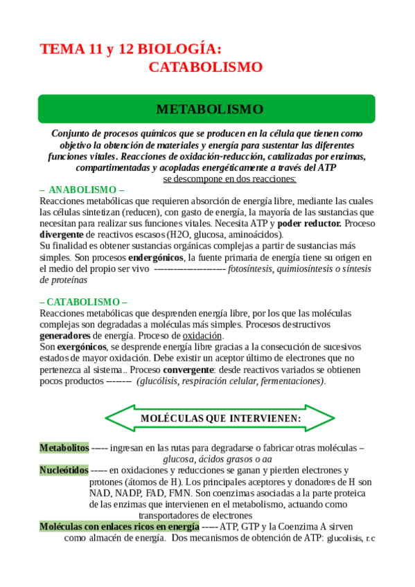 Miniatura del documento TEMA-11-12-METABOLISMO.pdf