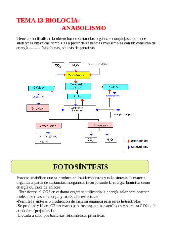 Miniatura del documento TEMA-13-ANABOLISMO.pdf