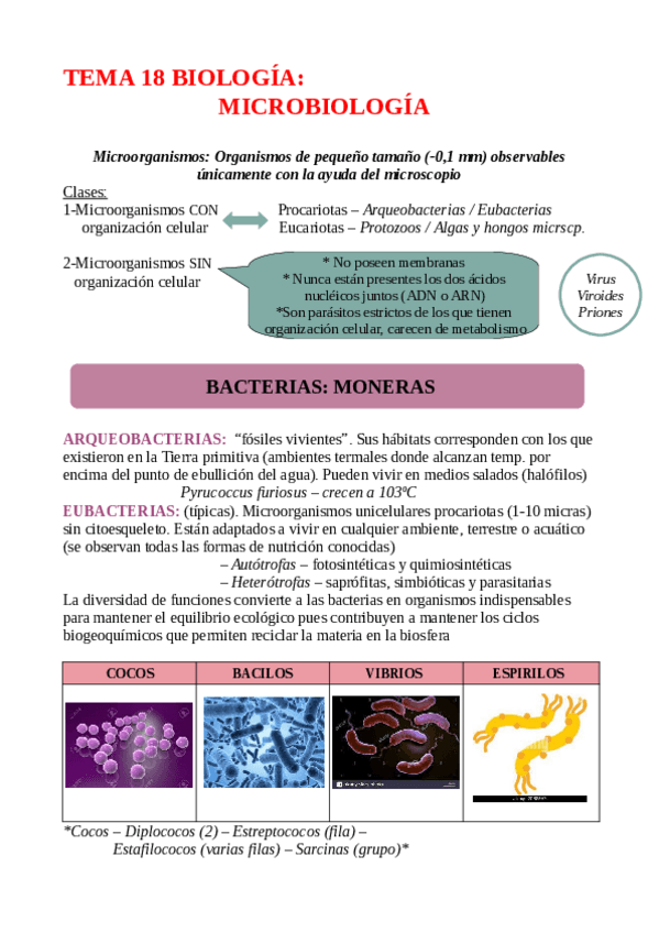 Miniatura del documento TEMA-18-MICROORGANISMOS.pdf