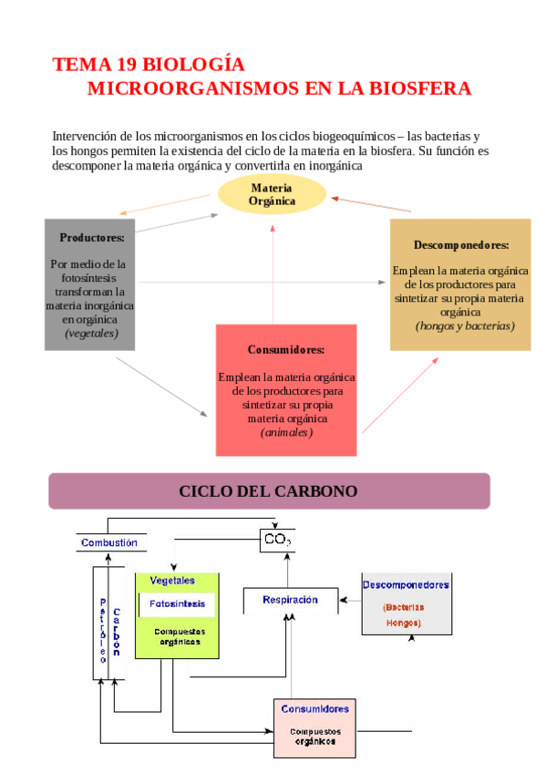 Miniatura del documento TEMA-19-MICROORGANISMOS-EN-LA-BIOSFERA.pdf