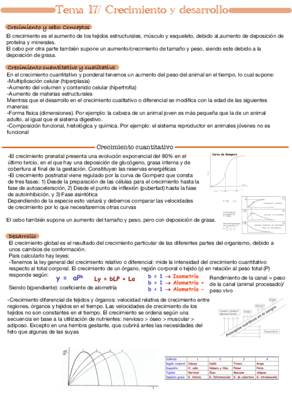 Miniatura del documento Tema-17.pdf