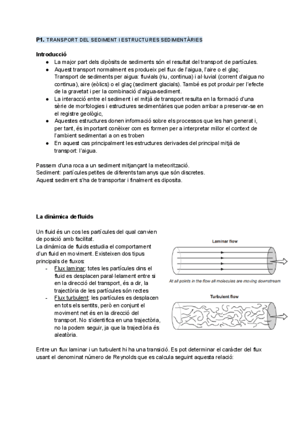 Miniatura del documento P1-Transport-del-sediment.pdf