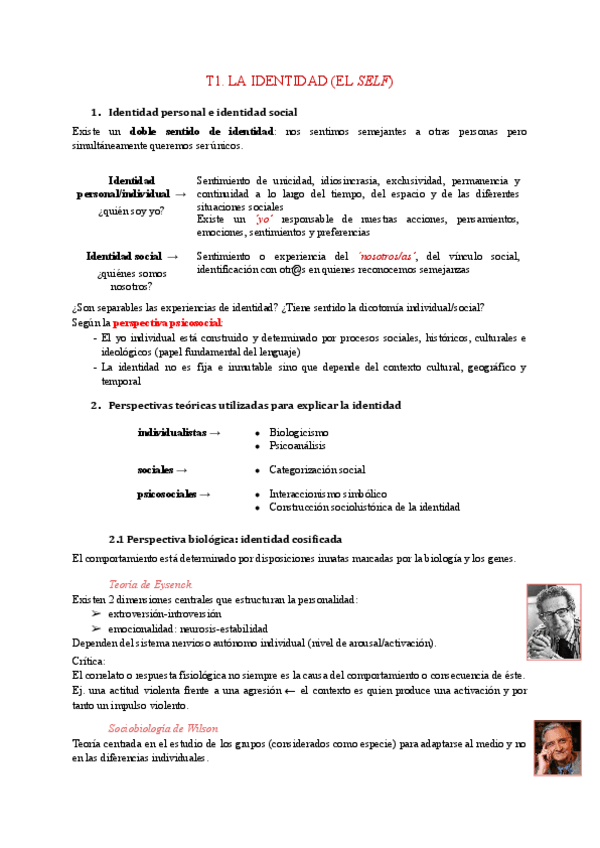 Miniatura del documento T1.-La-identidad-el-self.pdf