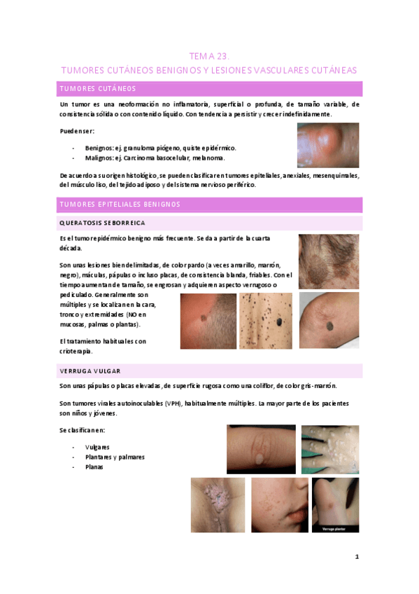 Miniatura del documento tema-23.-tumores-cutaneos-docx.pdf