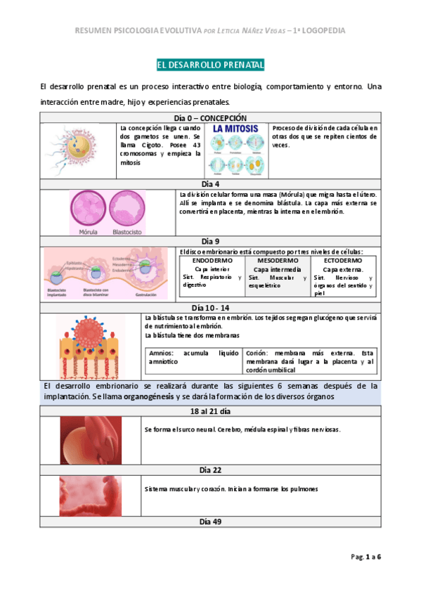 Miniatura del documento RESUMEN-PSICOLOGIA-Desarrollo-Prenatal.pdf