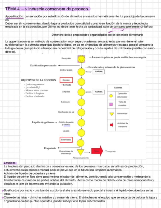 Miniatura del documento Industria-Carnica-T4.pdf