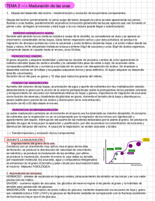 Miniatura del documento Enologia-T2.pdf