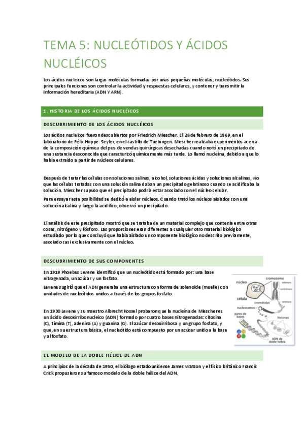 Miniatura del documento BIOQUIMICA-TEMAS-5-Y-13.pdf