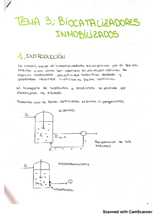 Miniatura del documento Tema 3 BC inmovilizados.pdf