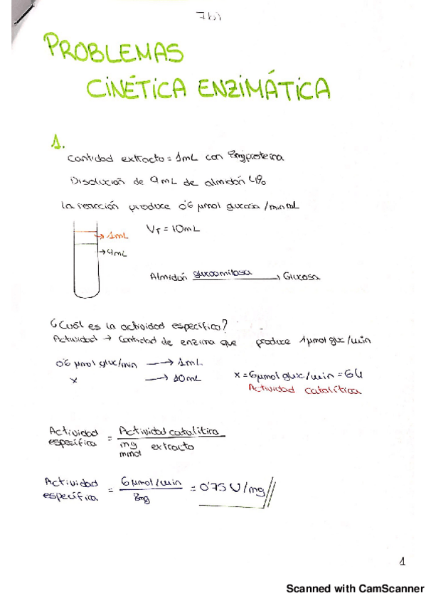 Miniatura del documento ej enzimatica.pdf