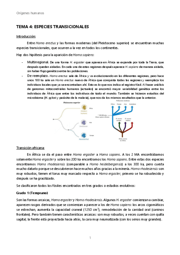 Miniatura del documento OH-Tema-4-Especies-transicionales.pdf