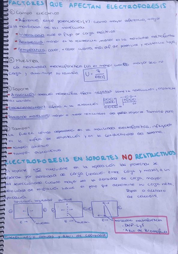Miniatura del documento Tecnicas.pdf