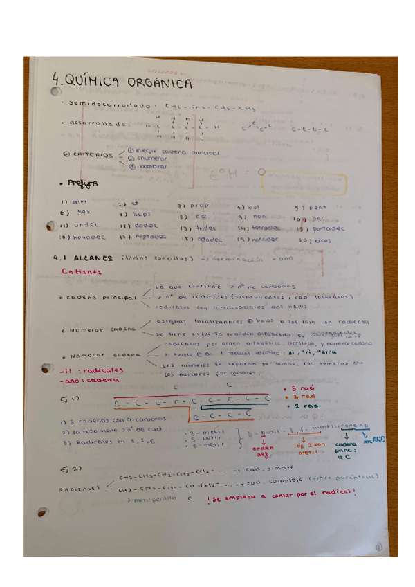 Miniatura del documento QUIMICA-ORGANICA.pdf