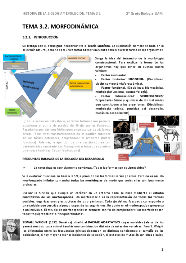Miniatura del documento HBEAPT3.2.-Morfodinamica.pdf