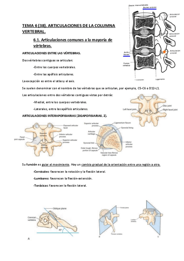 Miniatura del documento Apuntes-anatomia-2.pdf