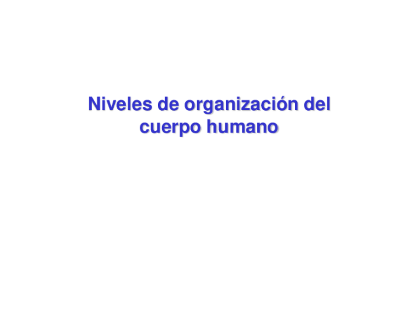 Miniatura del documento 2.-Niveles-de-organizacion-del-cuerpo-humano.pdf