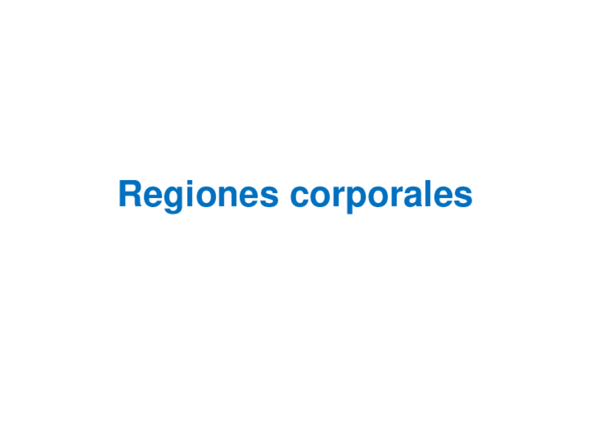 Miniatura del documento 4.-Regiones-corporales.pdf
